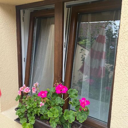 Kerti Franciaagyas Apartman Vác エクステリア 写真