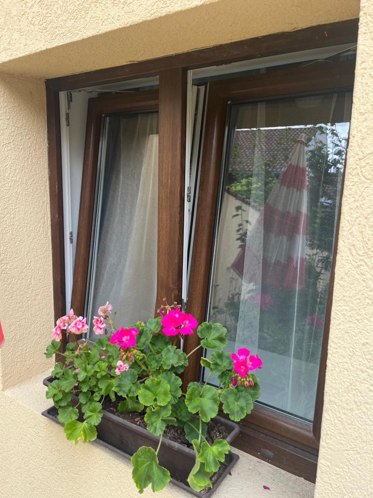 Kerti Franciaagyas Apartman Vác エクステリア 写真